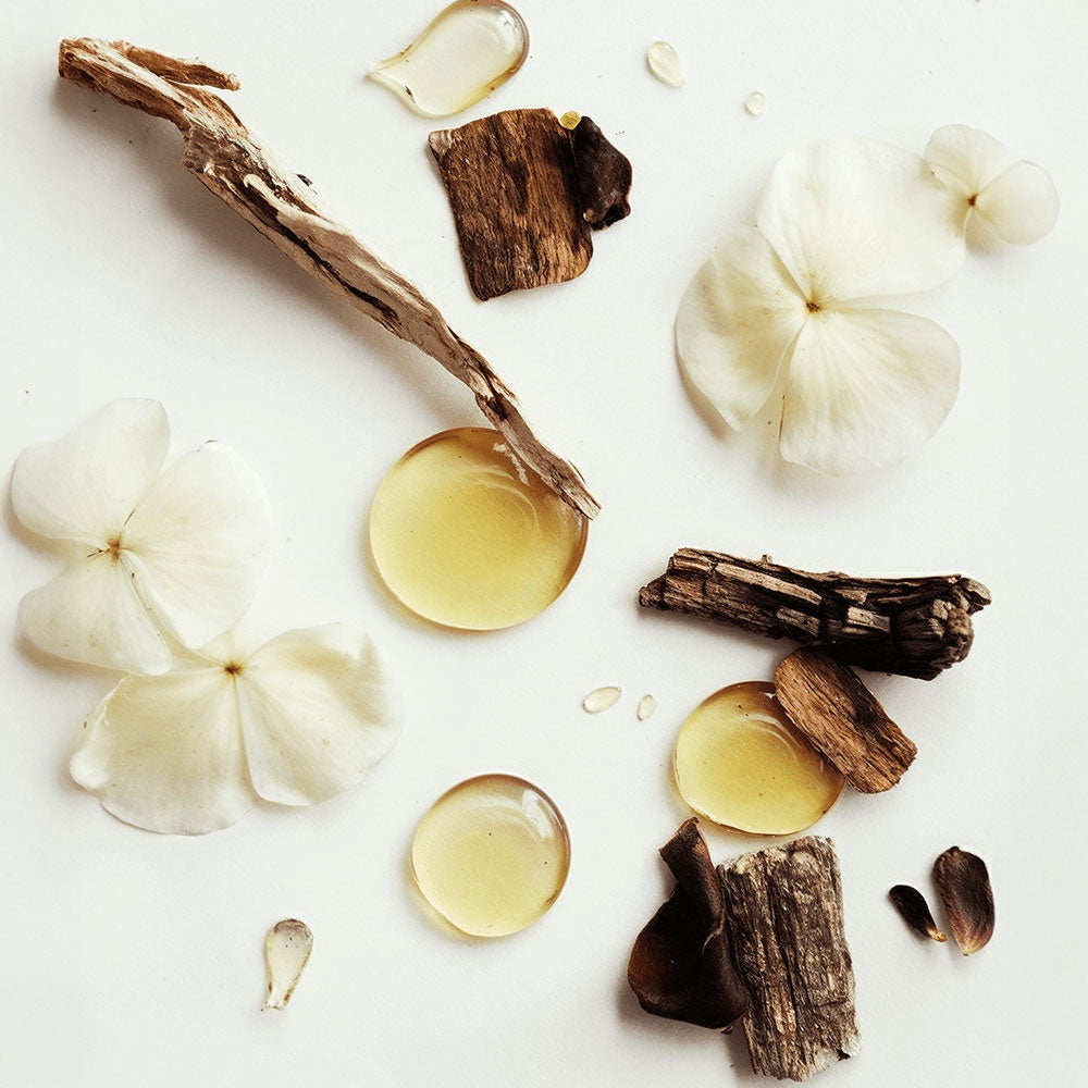 MONAVIE Whipped Grass-Fed Tallow Balm with Vanilla Bean