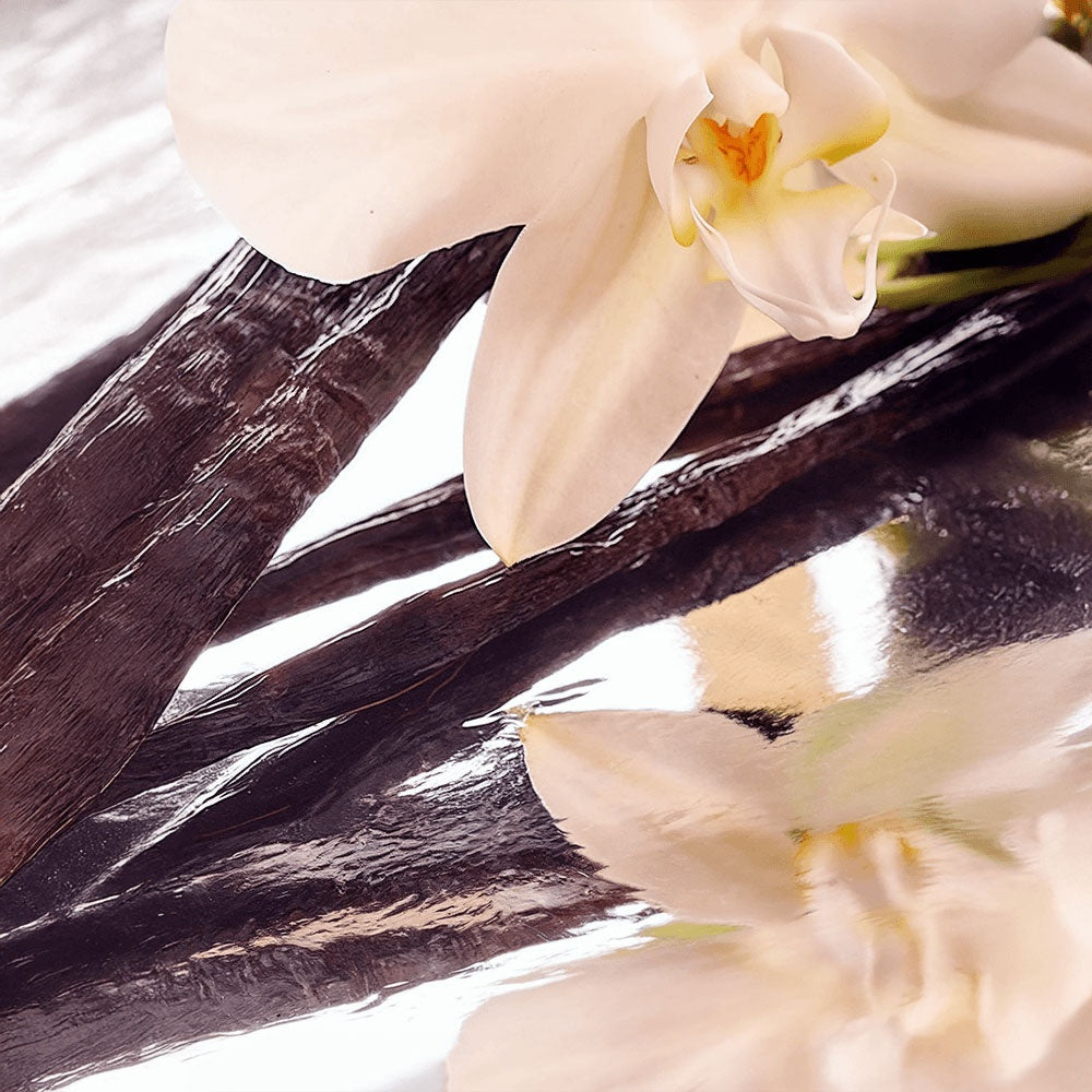 MONAVIE Whipped Grass-Fed Tallow Balm with Vanilla Bean